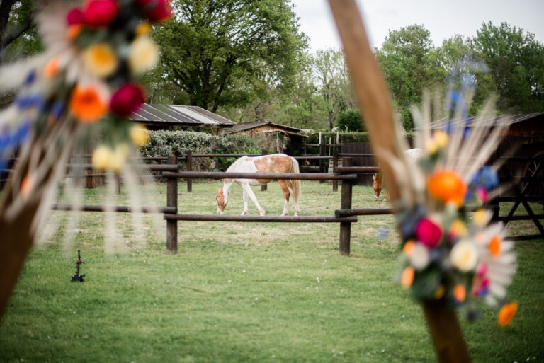 Shooting d&rsquo;inspiration au Ranch Amadeus – Saint Paul En Born – Landes